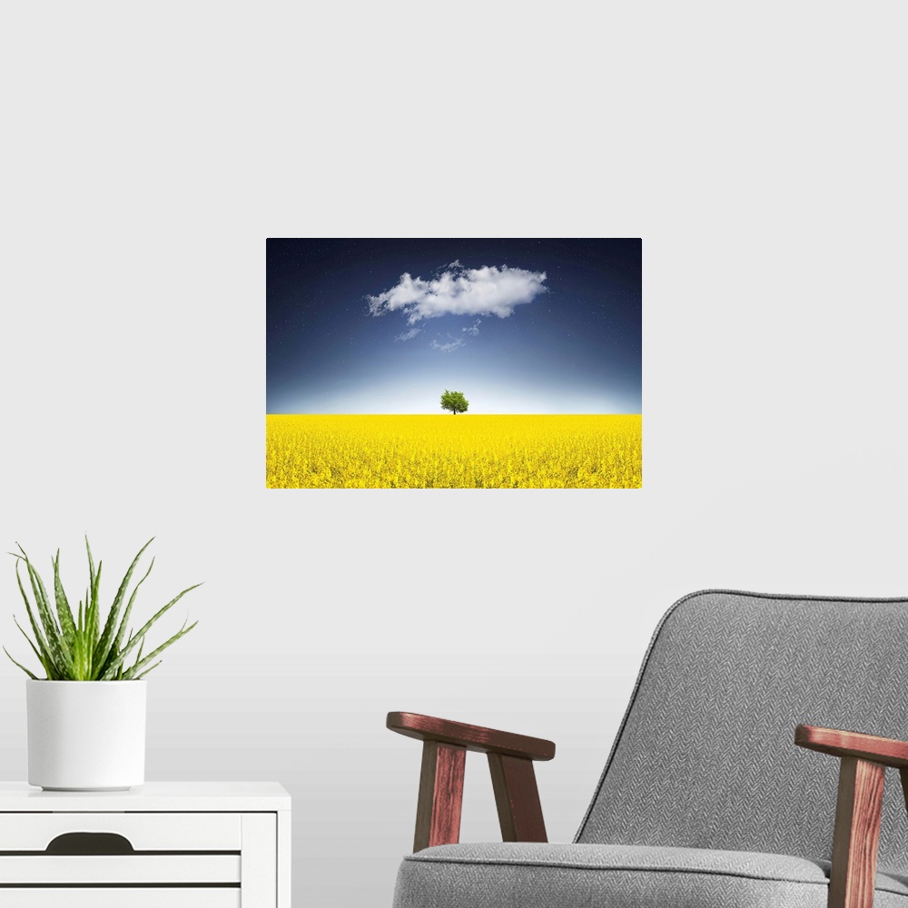 A modern room featuring Surreal Canola Field