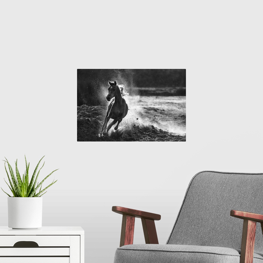 A modern room featuring Black and white image of a horse galloping in the sand, kicking up dust behind it.