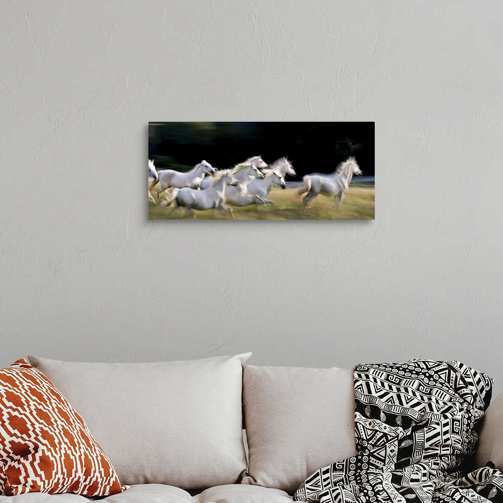 A bohemian room featuring Blurred motion image of a herd of galloping white horses.