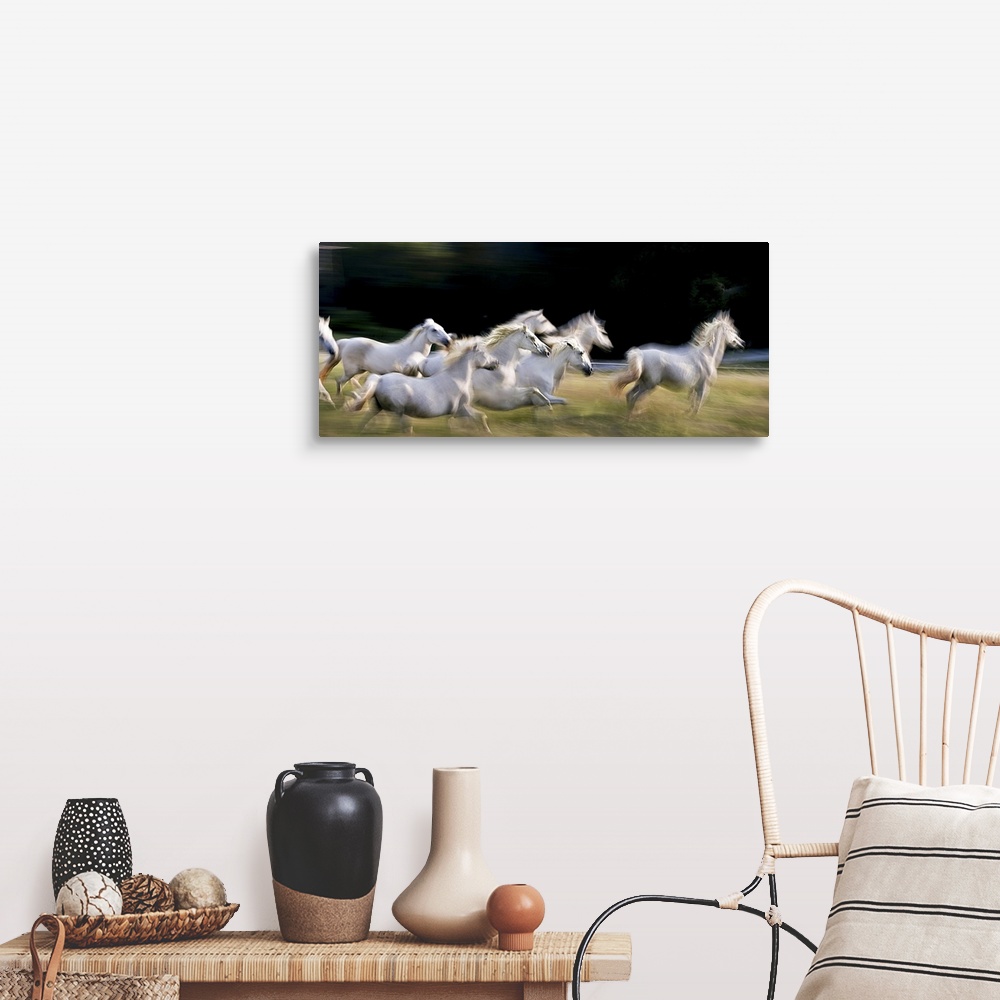 A farmhouse room featuring Blurred motion image of a herd of galloping white horses.