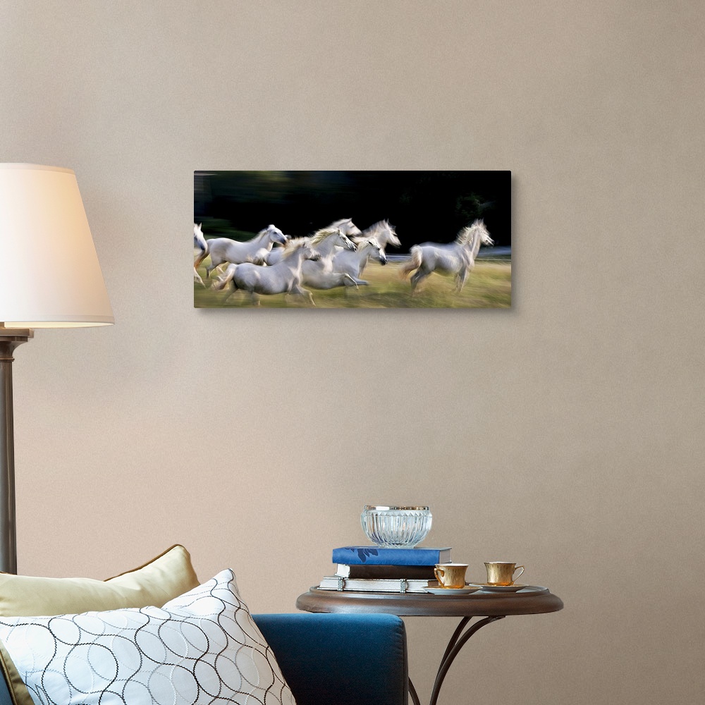 A traditional room featuring Blurred motion image of a herd of galloping white horses.