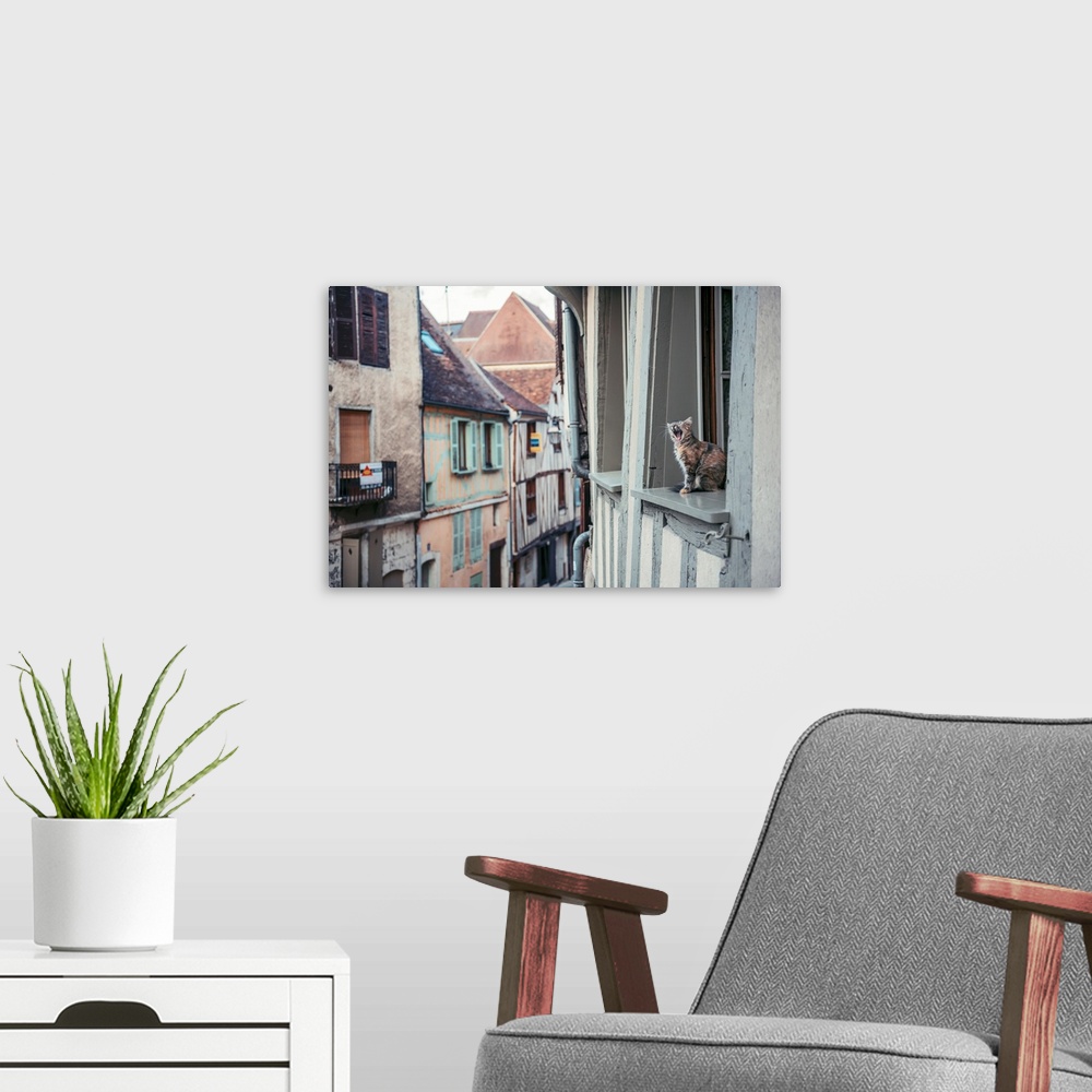 A modern room featuring Photograph of a cat sitting outside of a second story window yawning.
