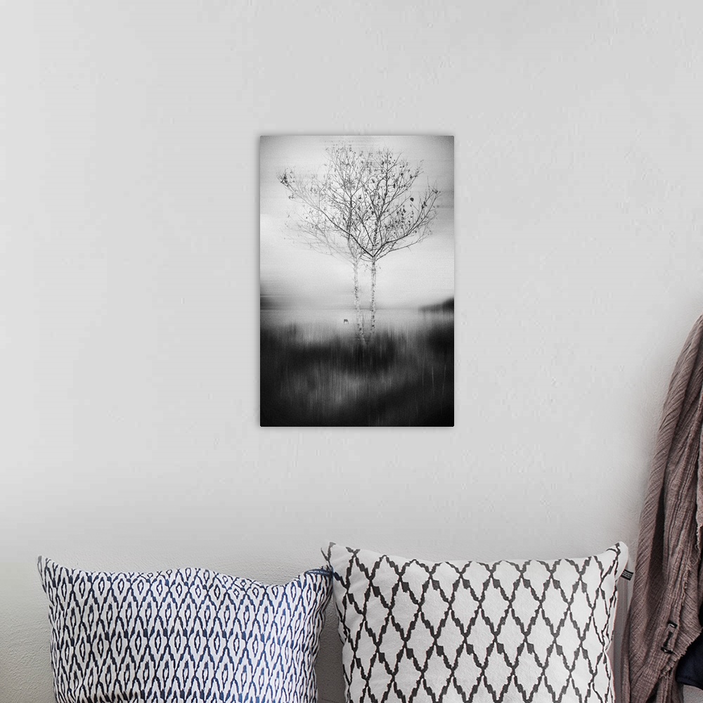 A bohemian room featuring Image of two trees with thin branches reaching out into the surrounding mist.