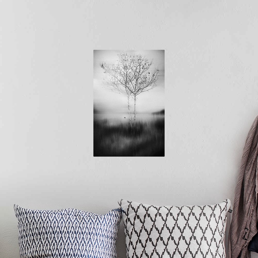 A bohemian room featuring Image of two trees with thin branches reaching out into the surrounding mist.
