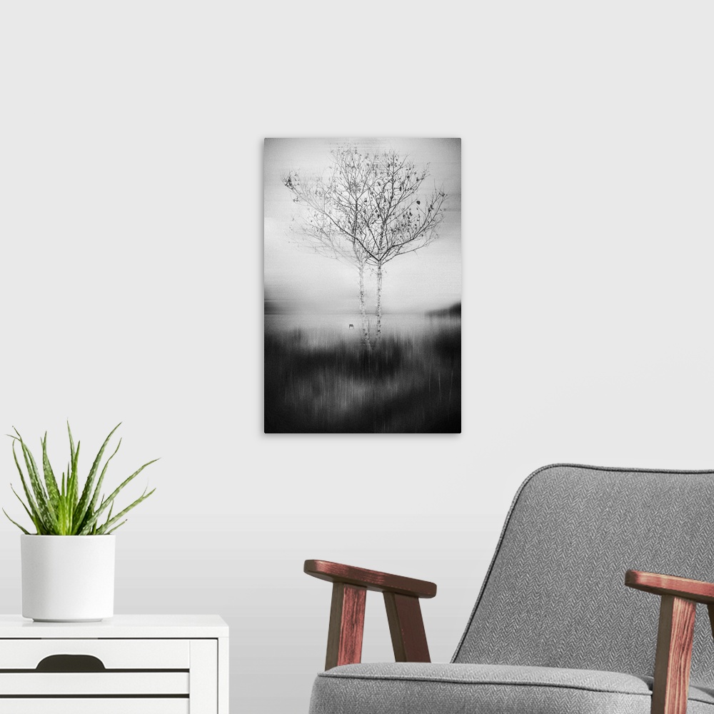 A modern room featuring Image of two trees with thin branches reaching out into the surrounding mist.