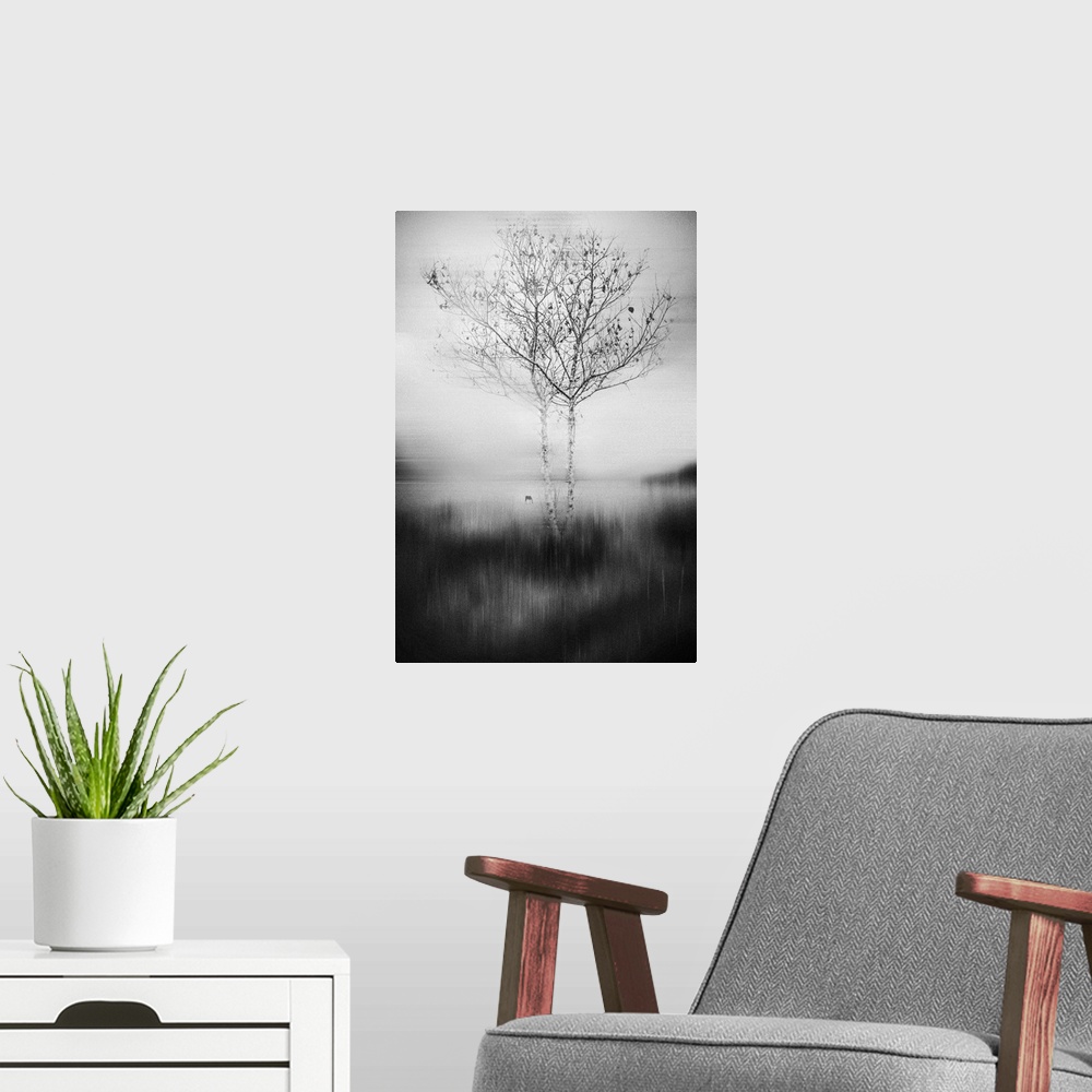 A modern room featuring Image of two trees with thin branches reaching out into the surrounding mist.