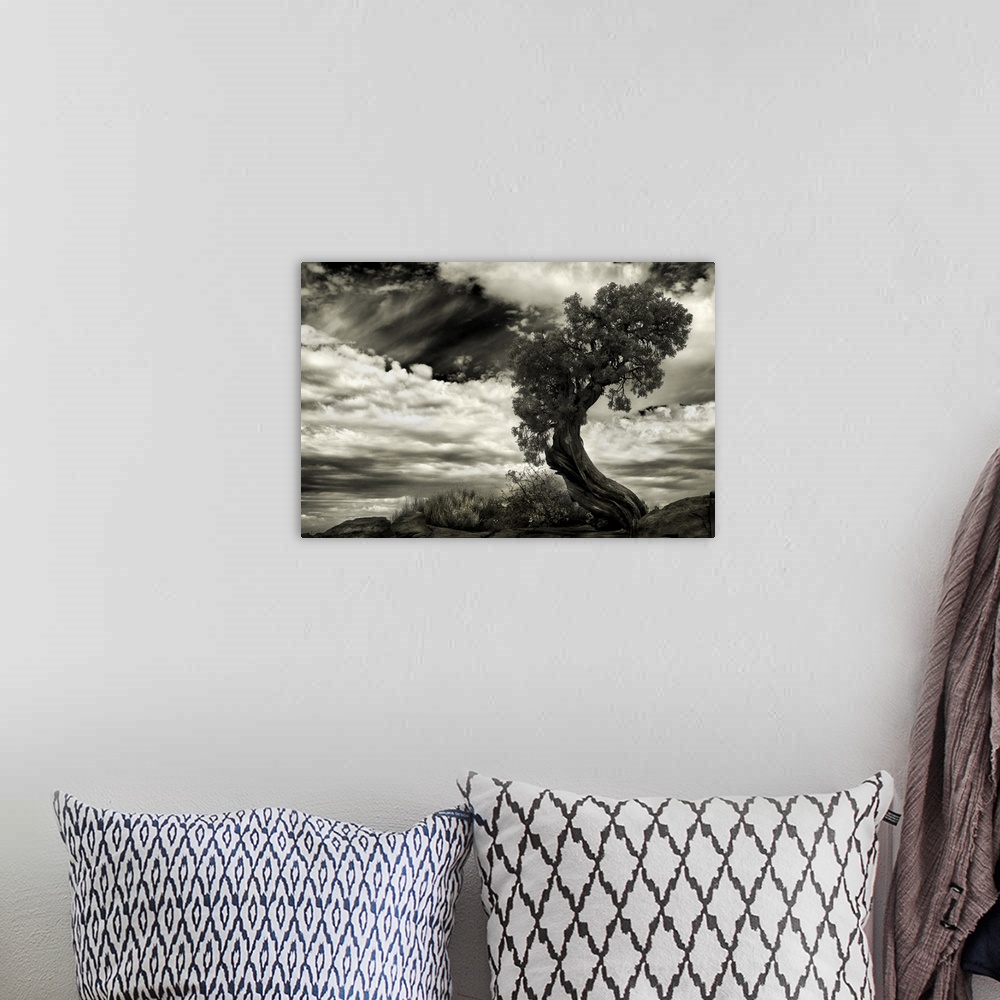 A bohemian room featuring Black and white image of a tree with a twisted trunk, with a cloudy sky above.