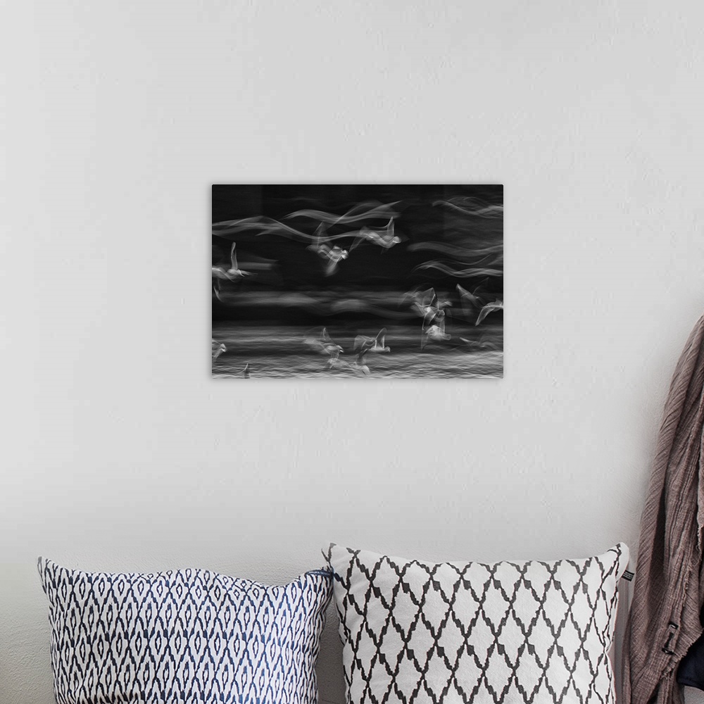 A bohemian room featuring Long exposure image of seagulls in flight, creating an abstract image of waves.