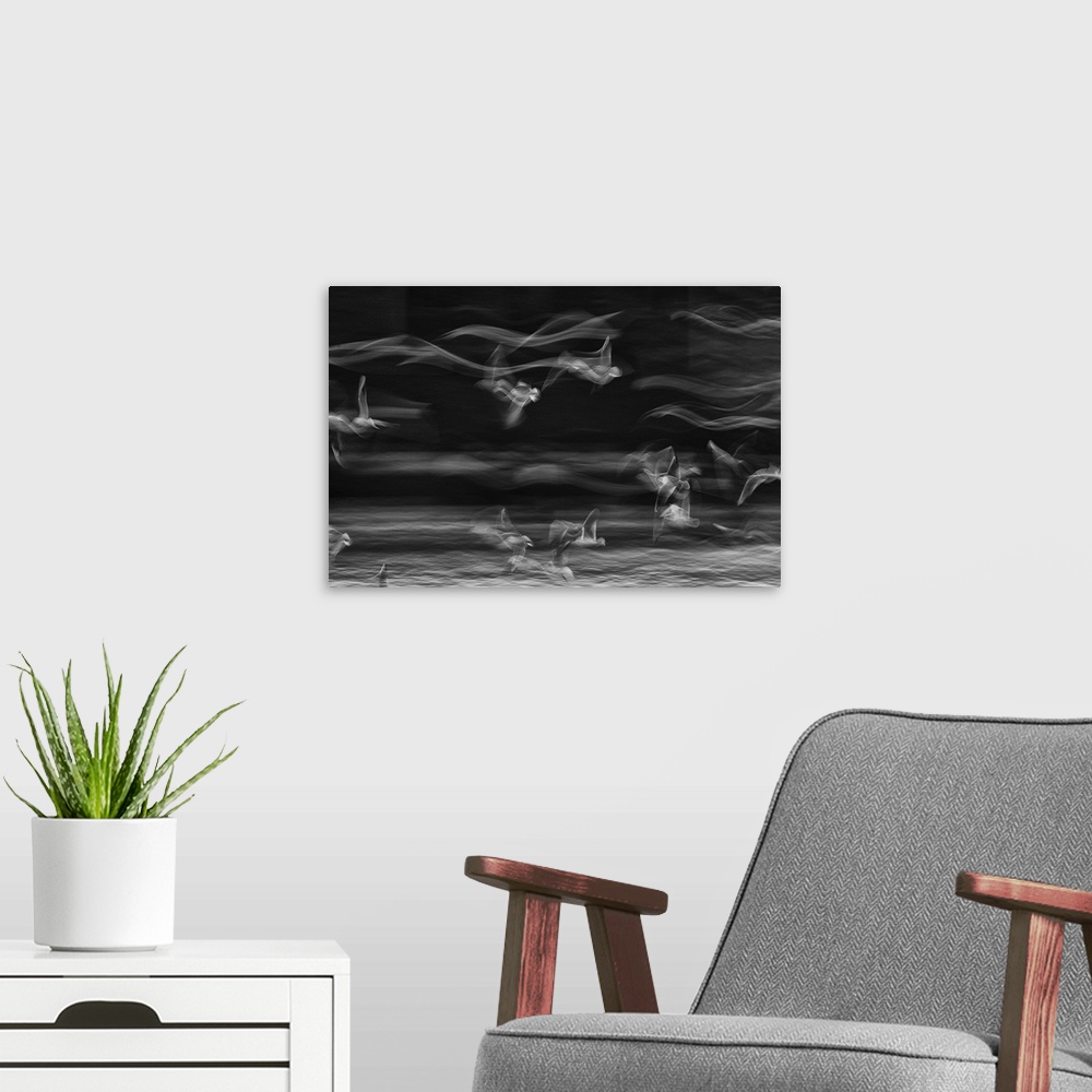 A modern room featuring Long exposure image of seagulls in flight, creating an abstract image of waves.