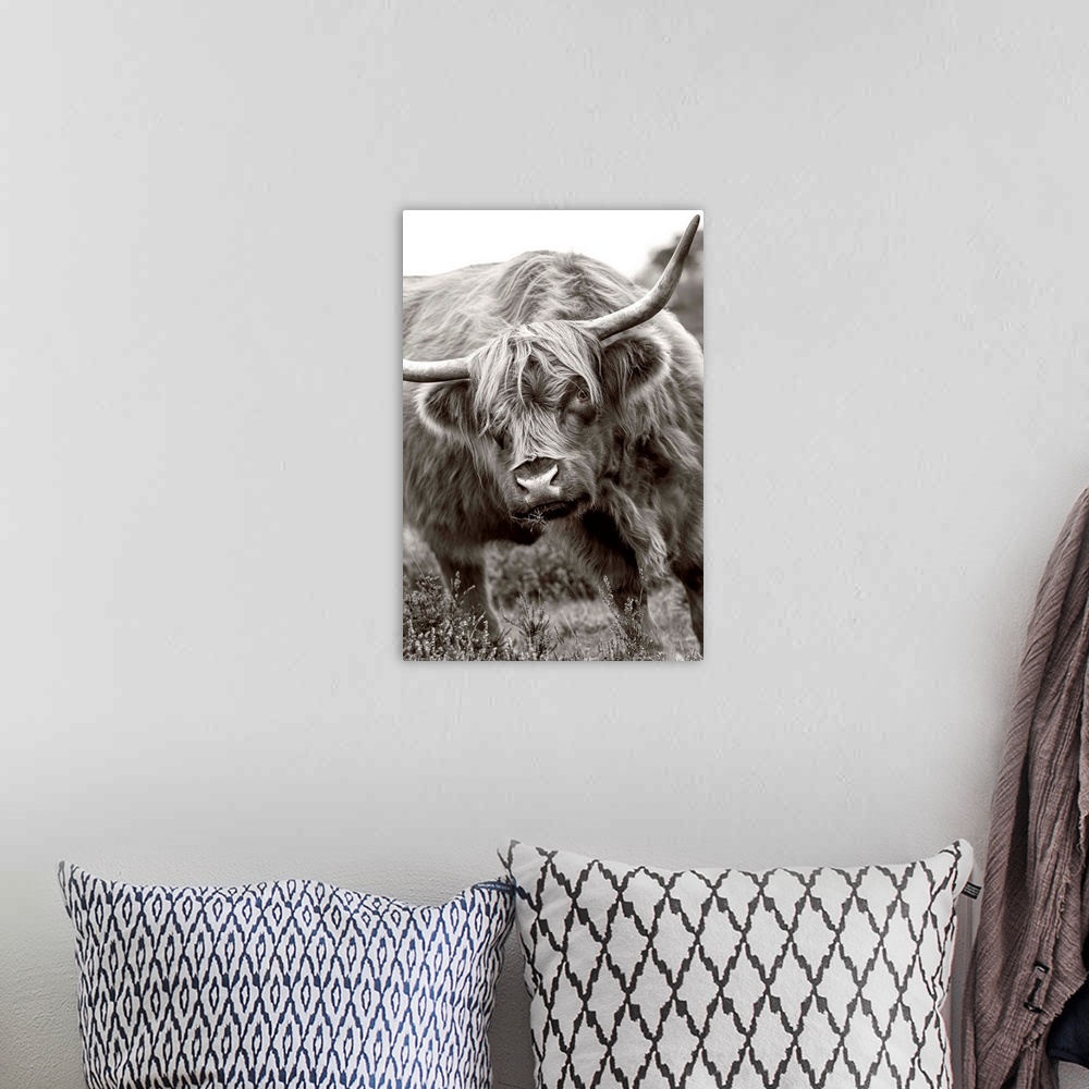 A bohemian room featuring The Bull