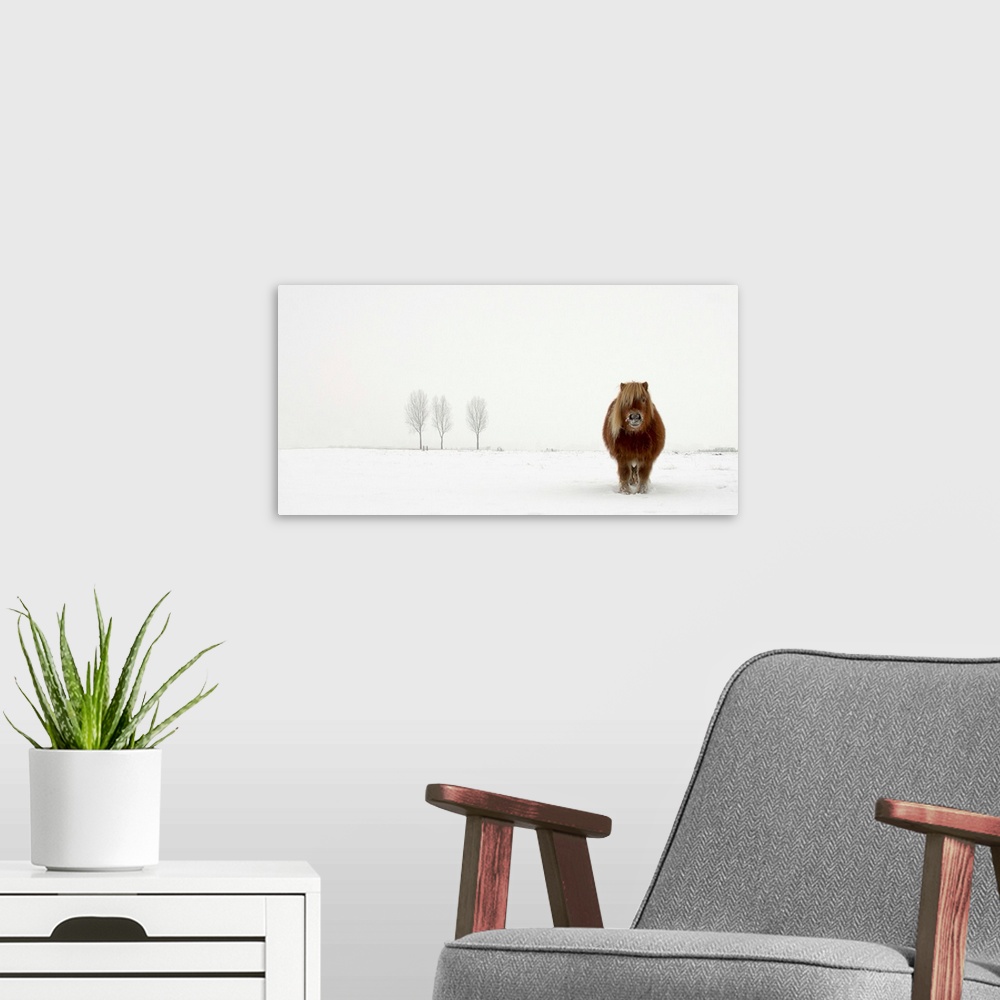 A modern room featuring A portrait of an Icelandic pony standing in w blustery winter landscape.