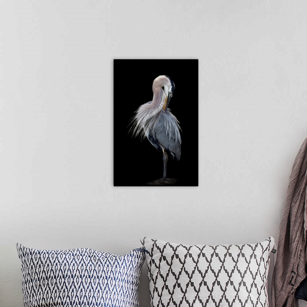 A bohemian room featuring The Elegant Great Blue Heron