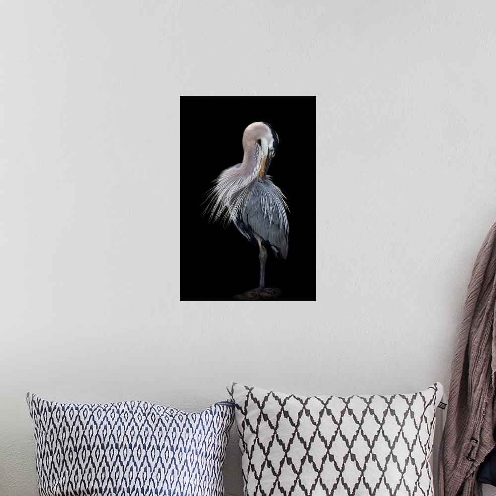 A bohemian room featuring The Elegant Great Blue Heron