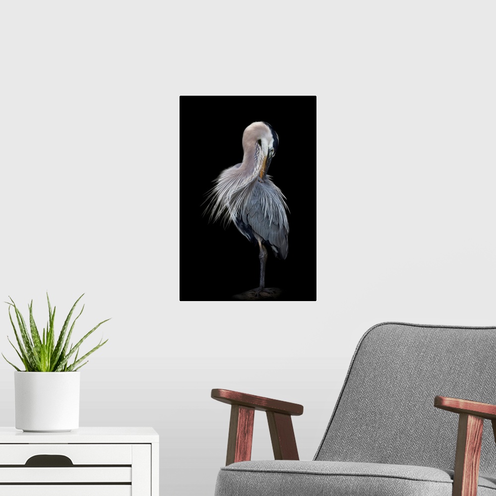 A modern room featuring The Elegant Great Blue Heron
