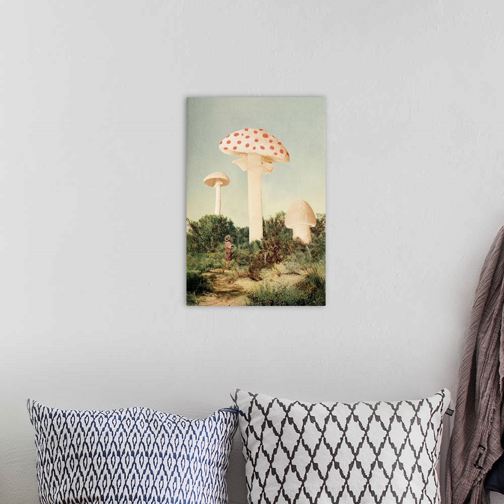 A bohemian room featuring The Finest Giant Mushroom
