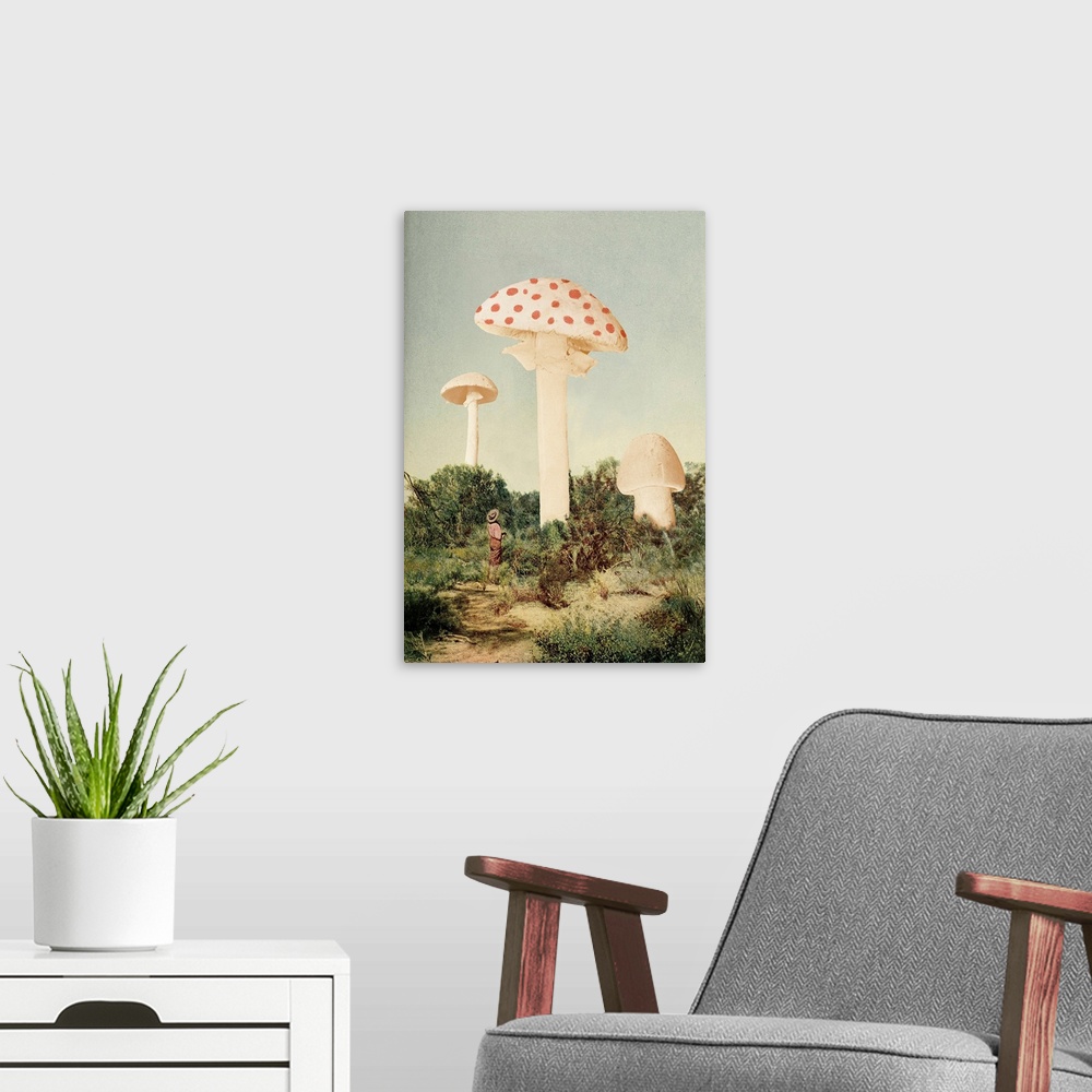 A modern room featuring The Finest Giant Mushroom