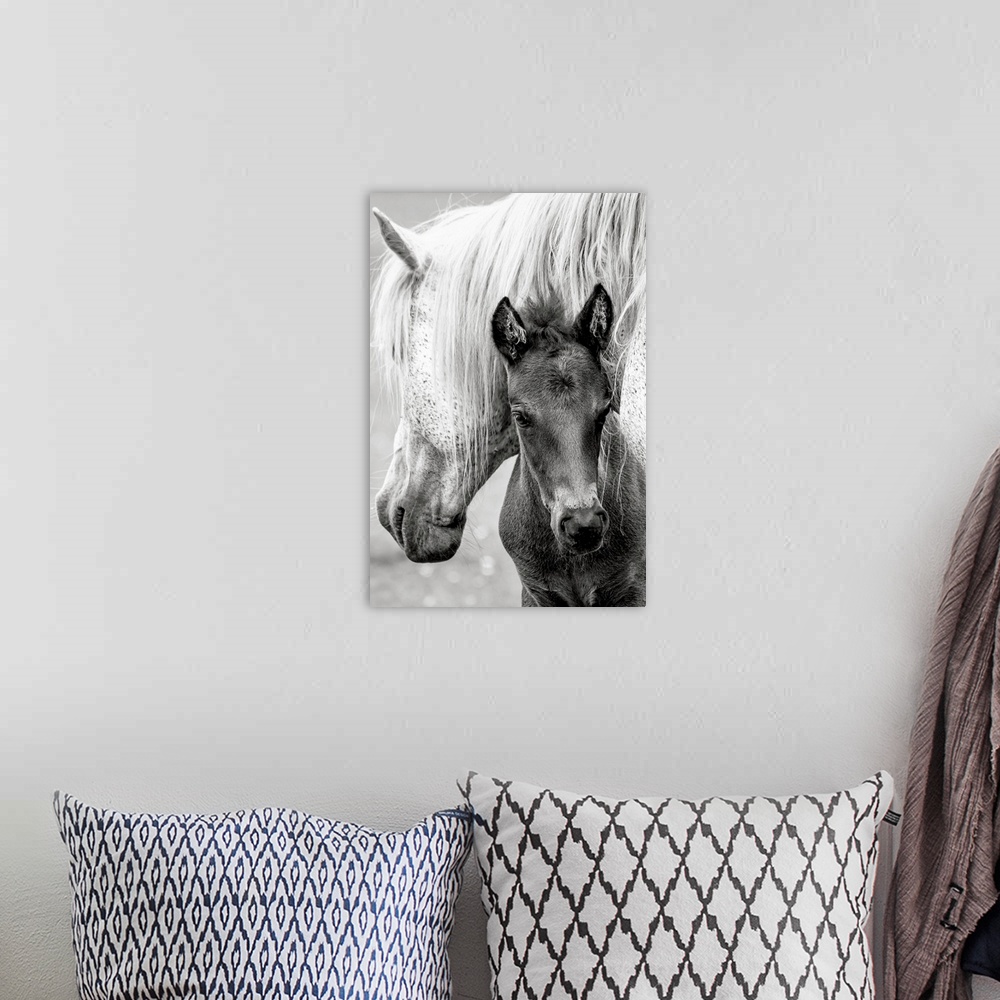 A bohemian room featuring The Foal