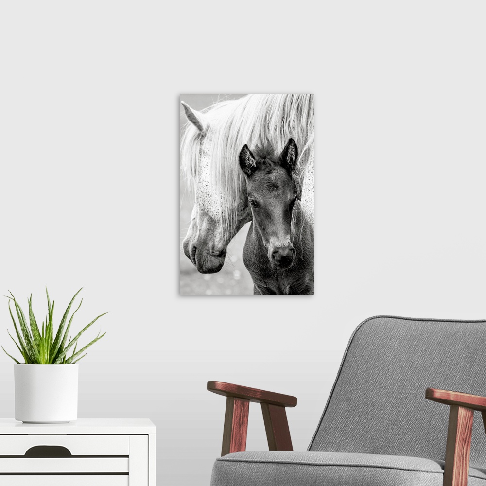 A modern room featuring The Foal