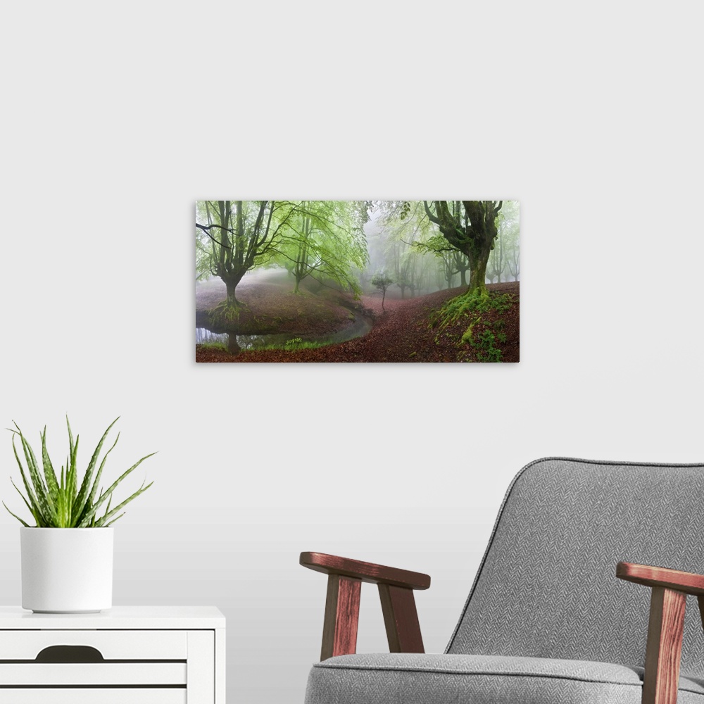 A modern room featuring A foggy forest in the countryside of Spain.