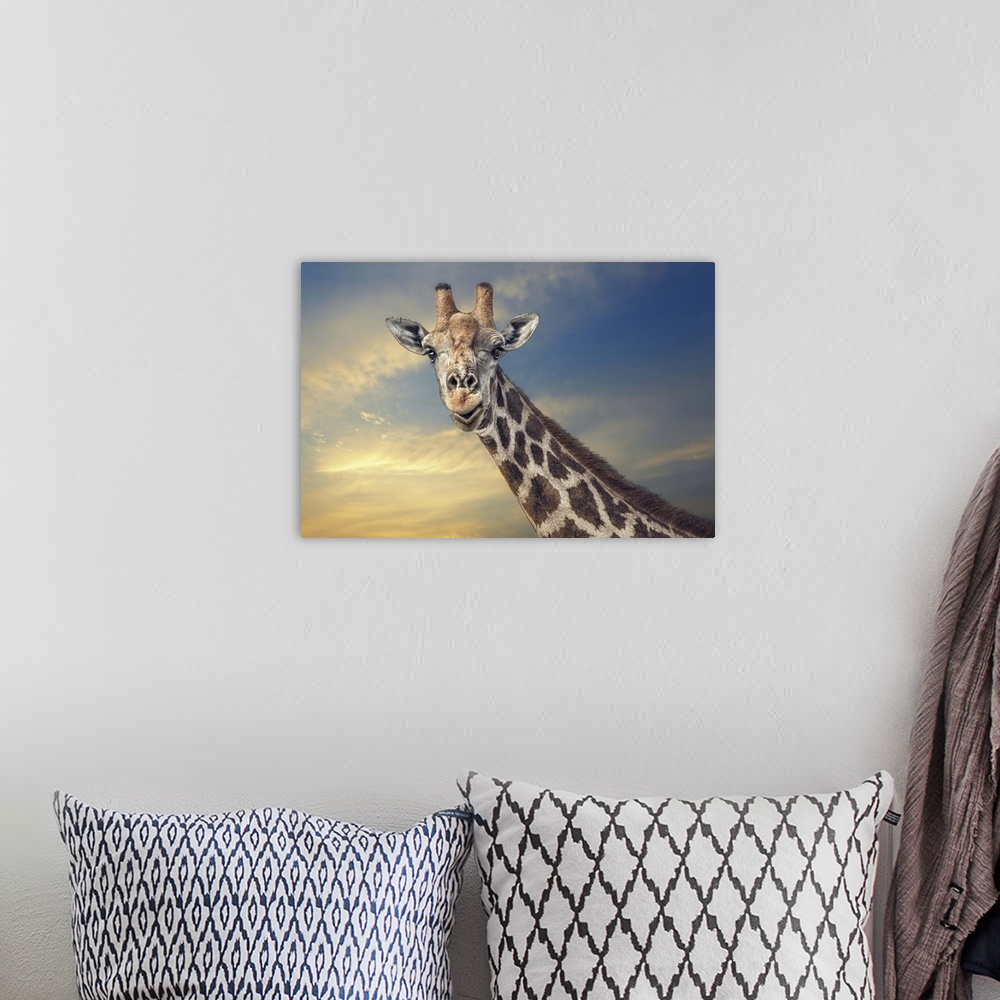 A bohemian room featuring A portrait of a giraffe against a sunset sky.