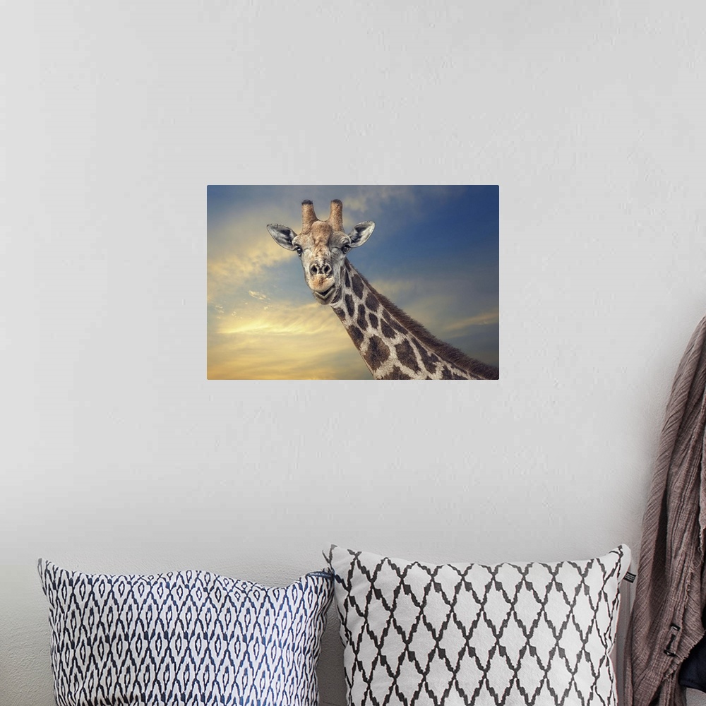 A bohemian room featuring A portrait of a giraffe against a sunset sky.
