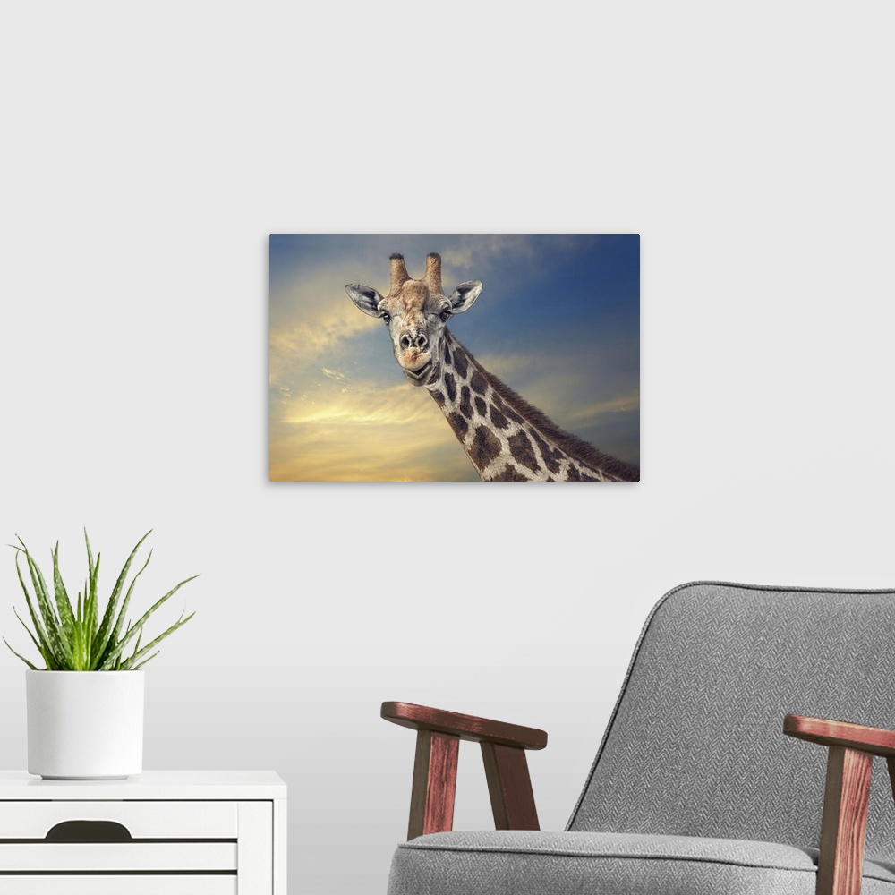 A modern room featuring A portrait of a giraffe against a sunset sky.