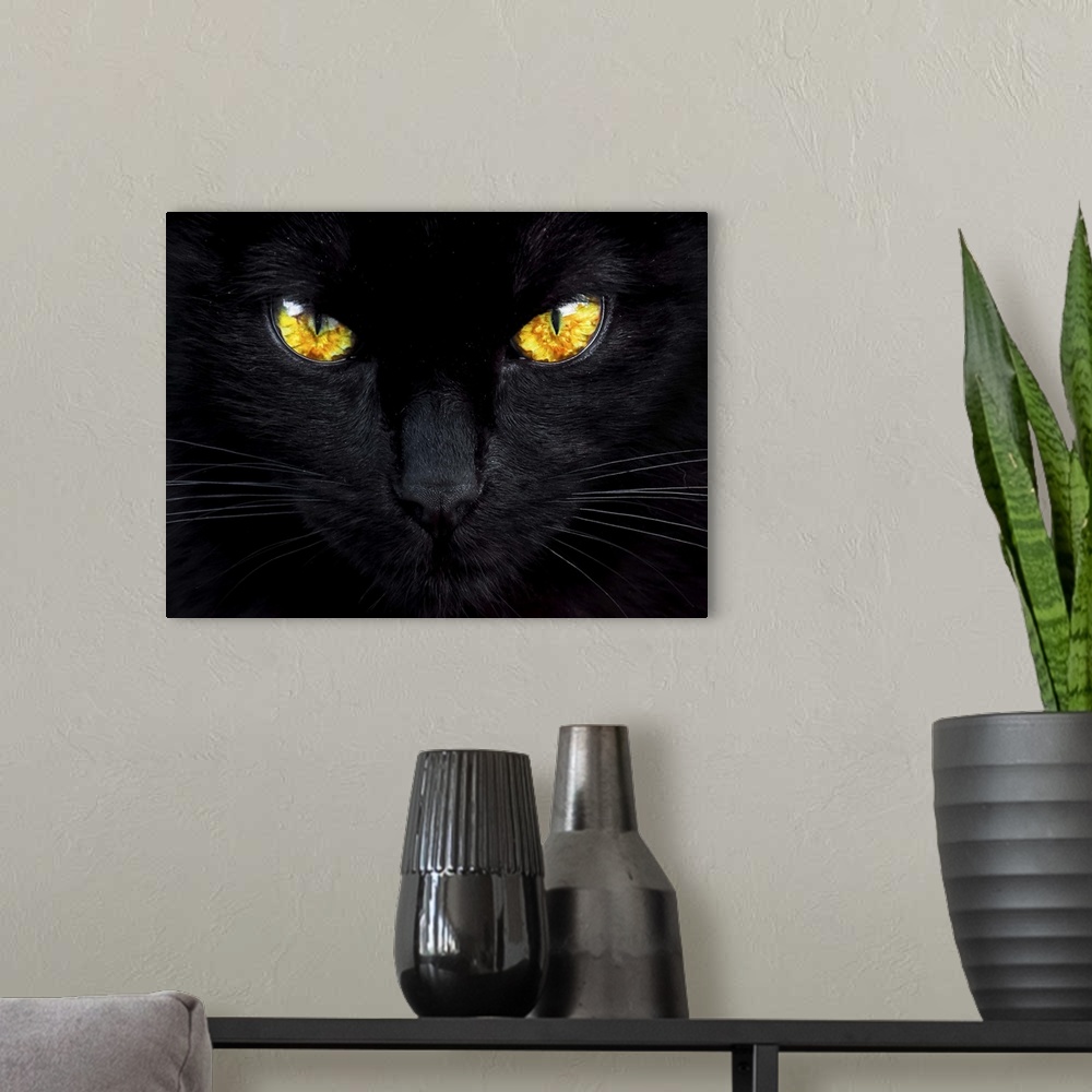 A modern room featuring A close-up of a black cat with glowing bright yellow eyes.