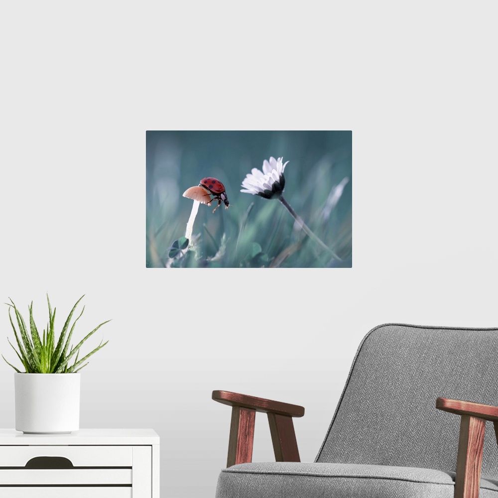A modern room featuring A ladybug perches on a small mushroom with a white daisy nearby.
