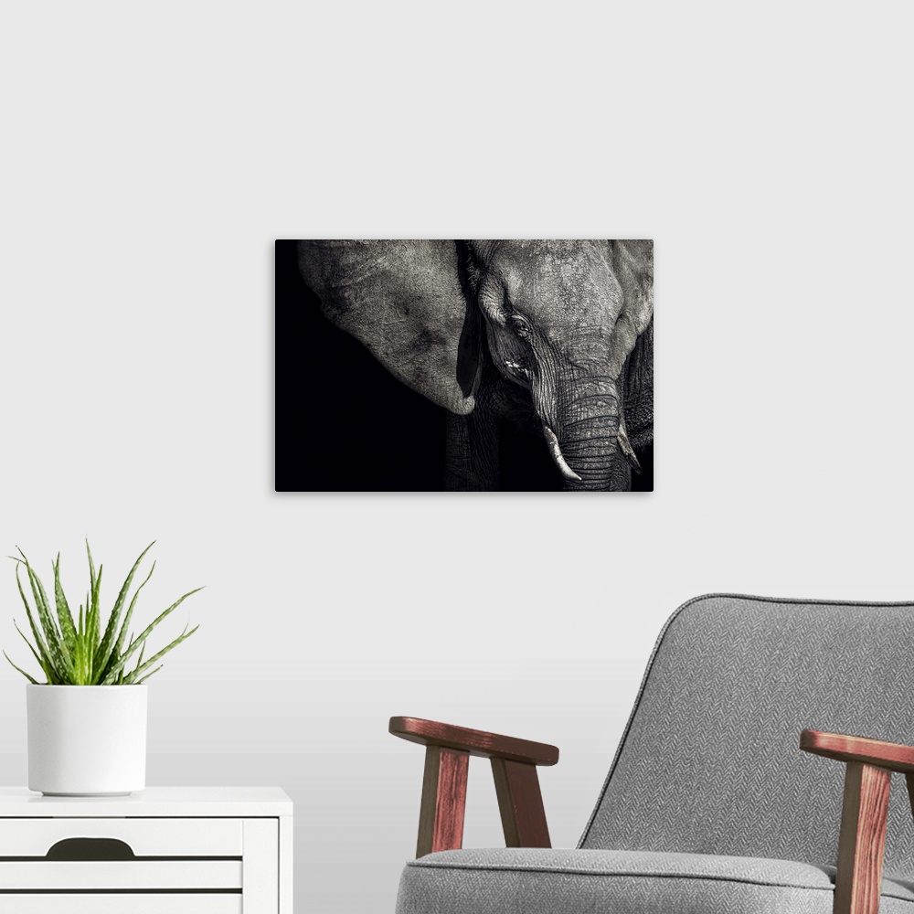 A modern room featuring A strong presence is commanded in the portrait of this Matriarch of an elephant family.