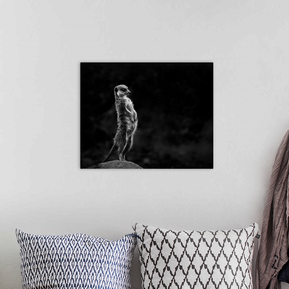 A bohemian room featuring Black and white image of a meerkat standing guard on a rock.
