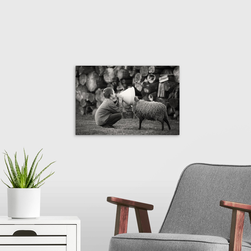 A modern room featuring A black and white photograph of a child talking into funnel with a sheep poking its head into the...