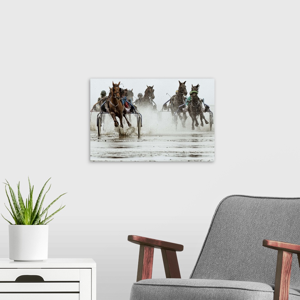 A modern room featuring Action shot of a harness race, where horses pull a two-wheeled cart called a sulky.