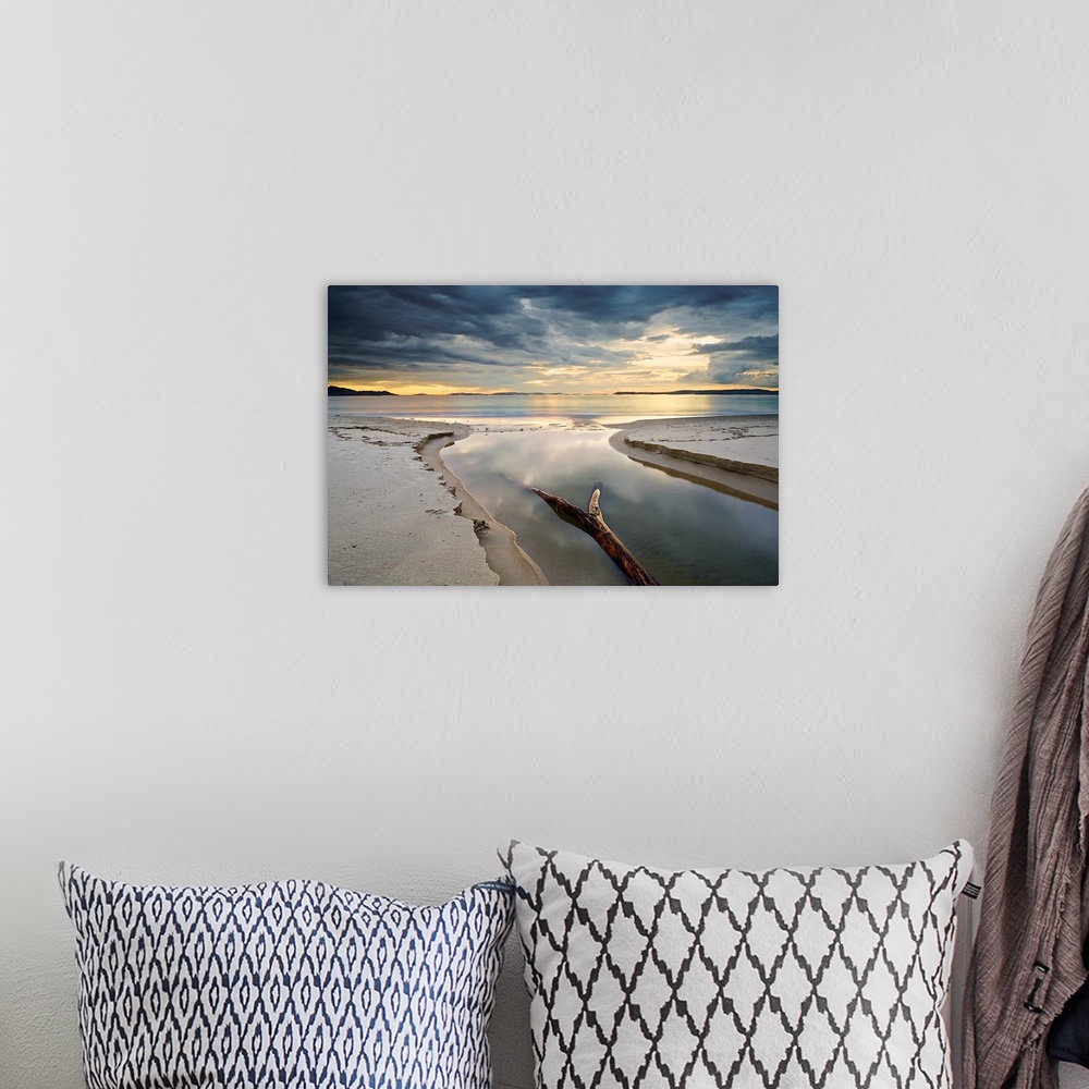 A bohemian room featuring Fine art photo of a sandy beach wit h driftwood and a cloudy sky in the morning.
