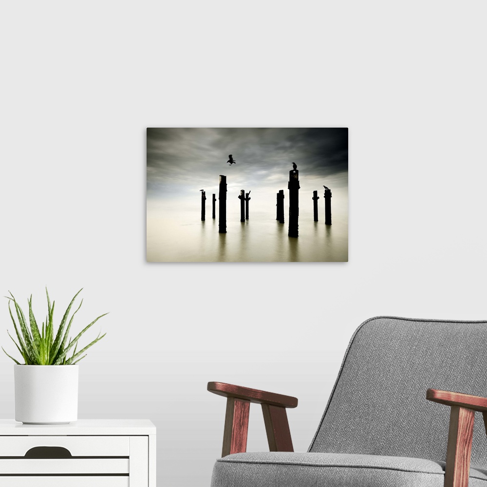 A modern room featuring Several crows perched on old posts in the ocean.