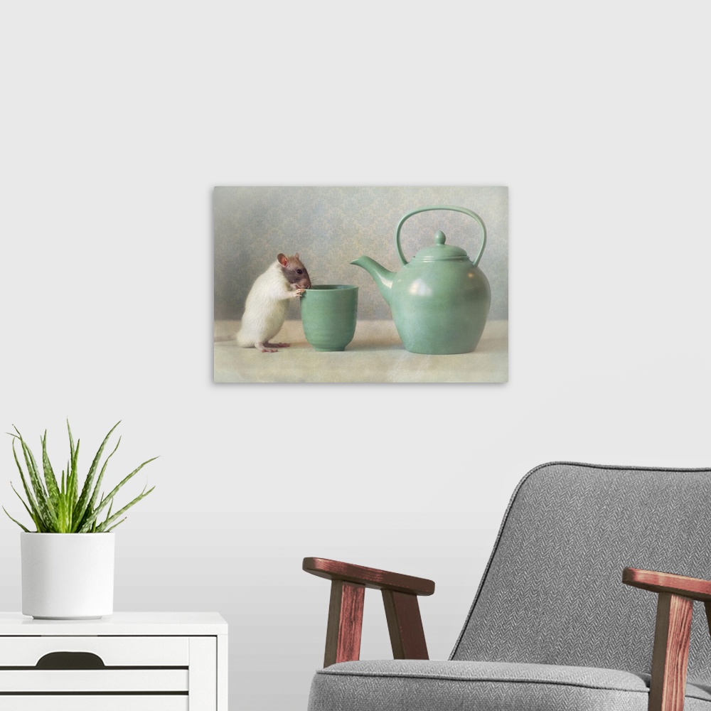 A modern room featuring The Teapot