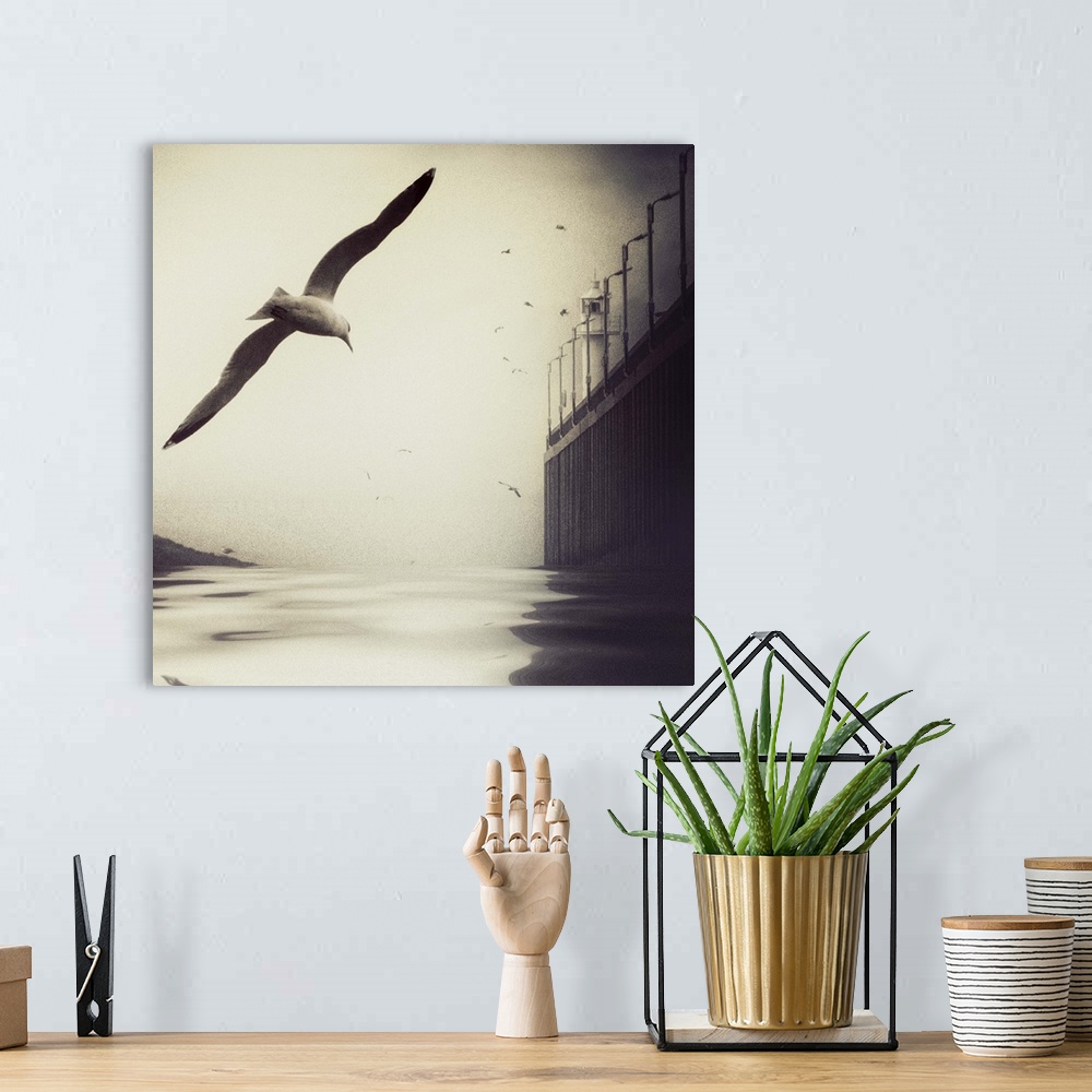 A bohemian room featuring A seagull flies low over the water, its flock-mates and a lighthouse in the distance.