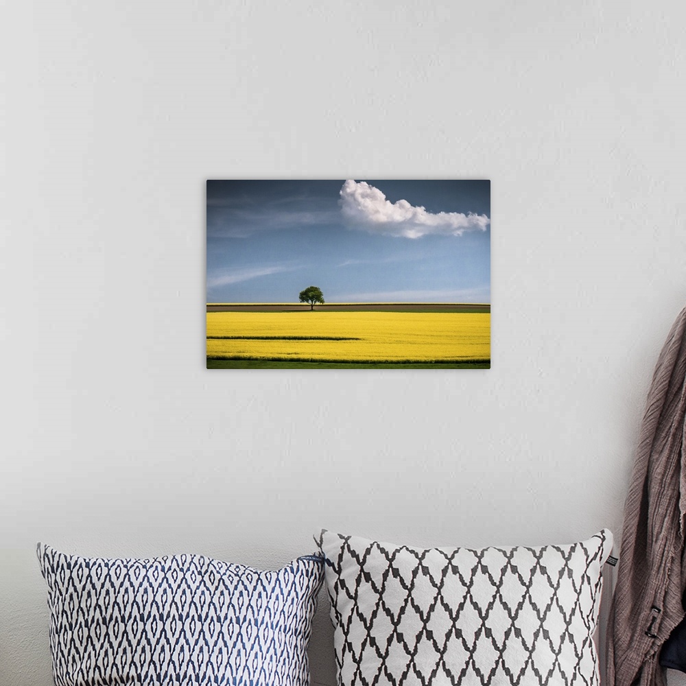 A bohemian room featuring A tree in the center of a bright yellow canola field with a lone cloud floating by.