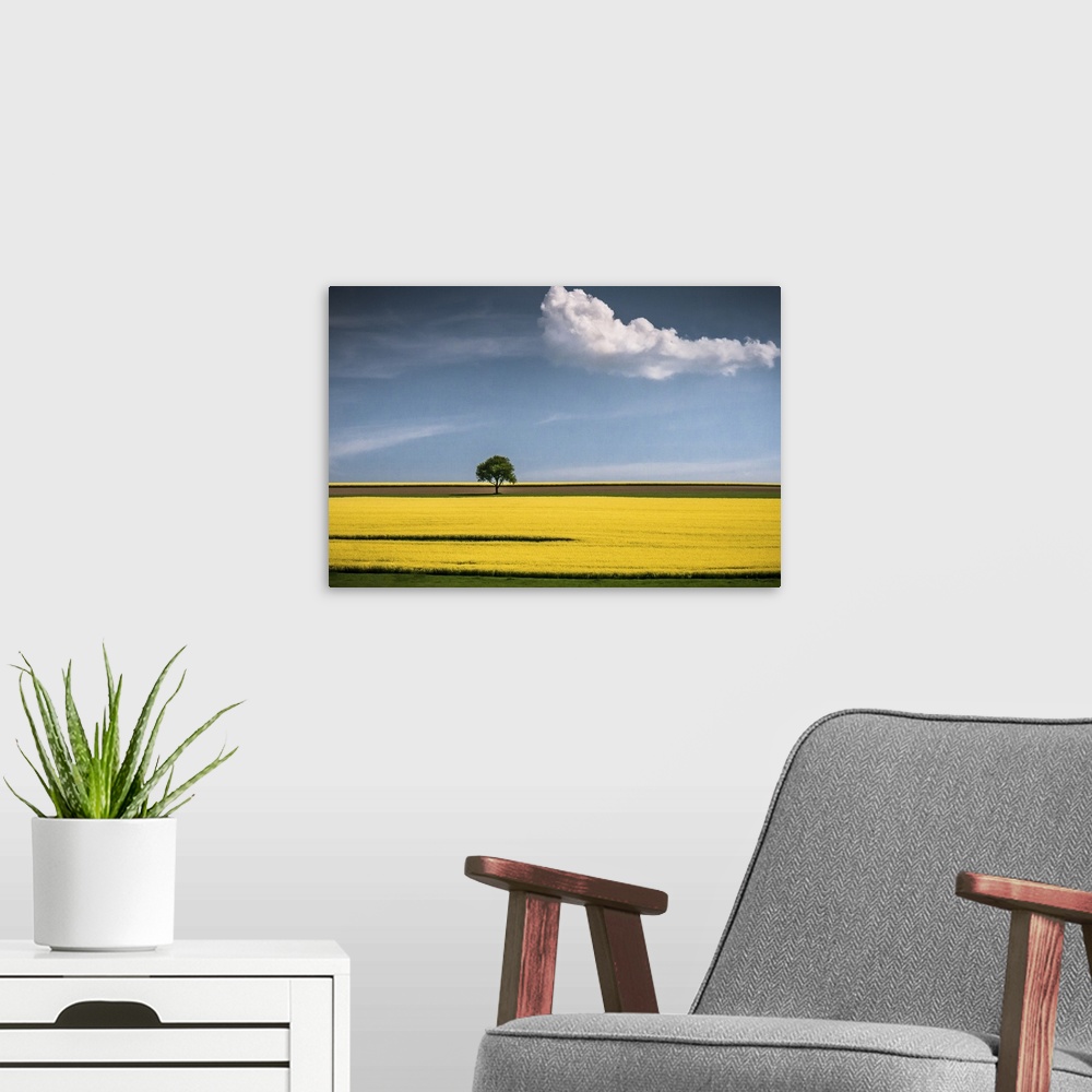 A modern room featuring A tree in the center of a bright yellow canola field with a lone cloud floating by.