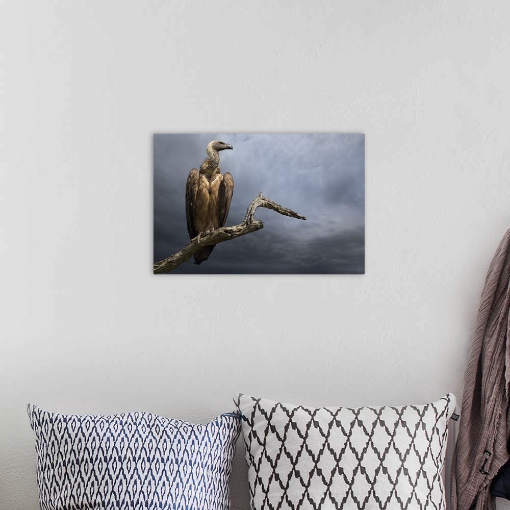 A bohemian room featuring A portrait of a vulture perched on a dead tree branch against a dark sky.