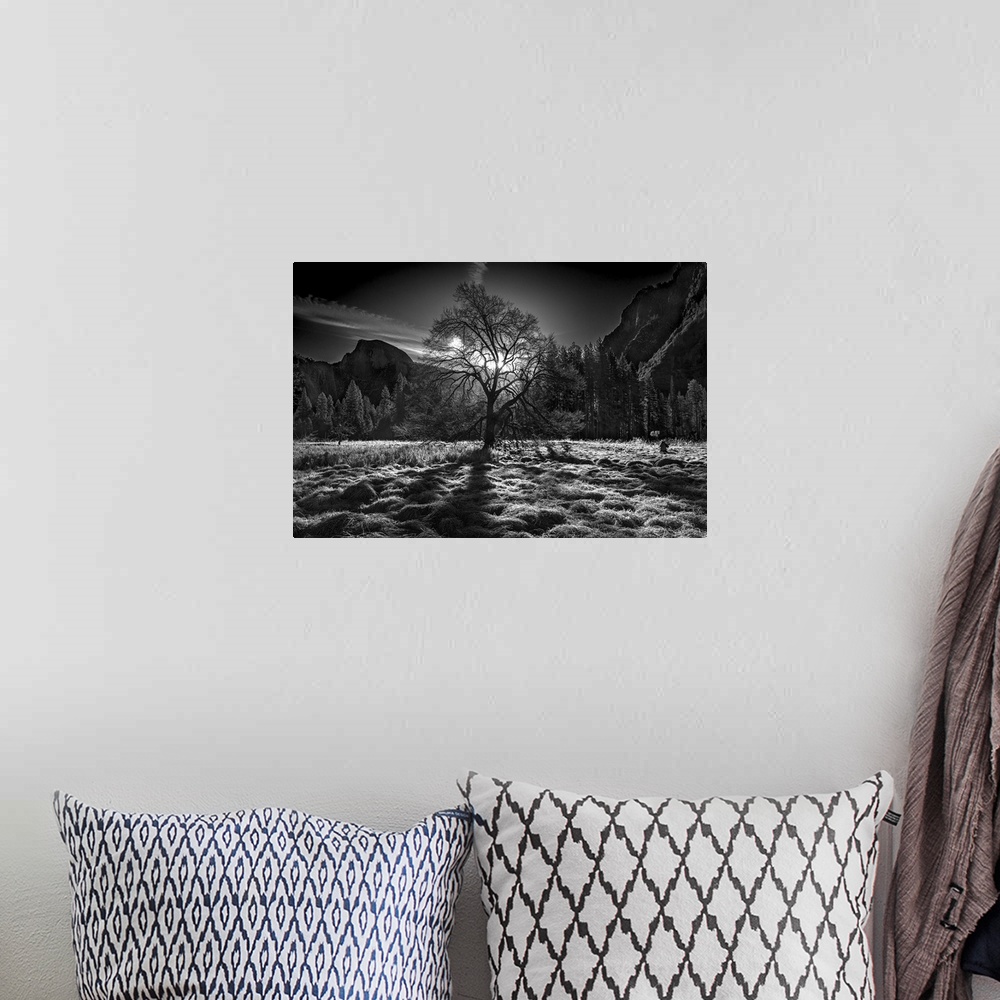A bohemian room featuring Black and white image of a clearing in Yosemite Valley with the sun low in the sky, and Half Dome...