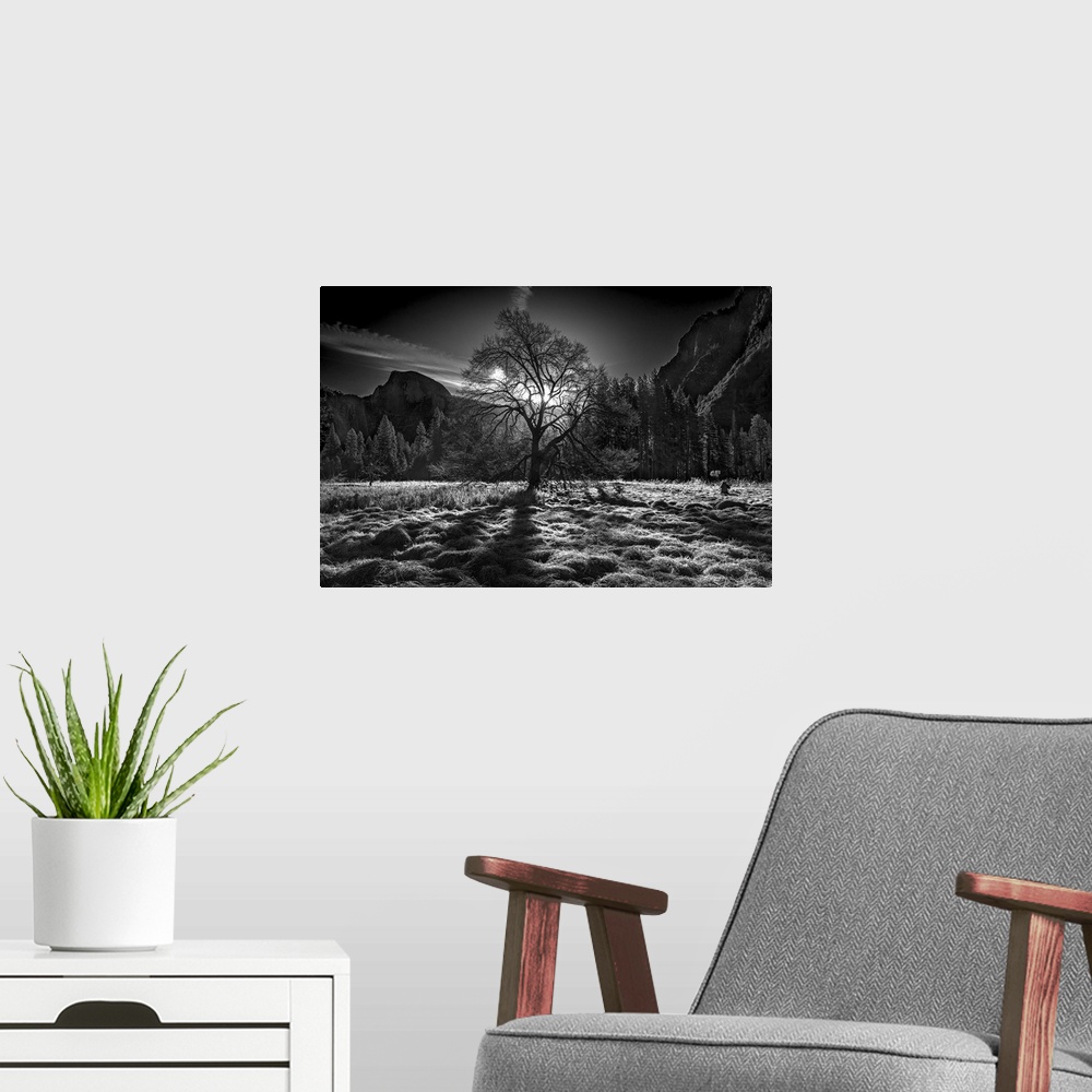 A modern room featuring Black and white image of a clearing in Yosemite Valley with the sun low in the sky, and Half Dome...