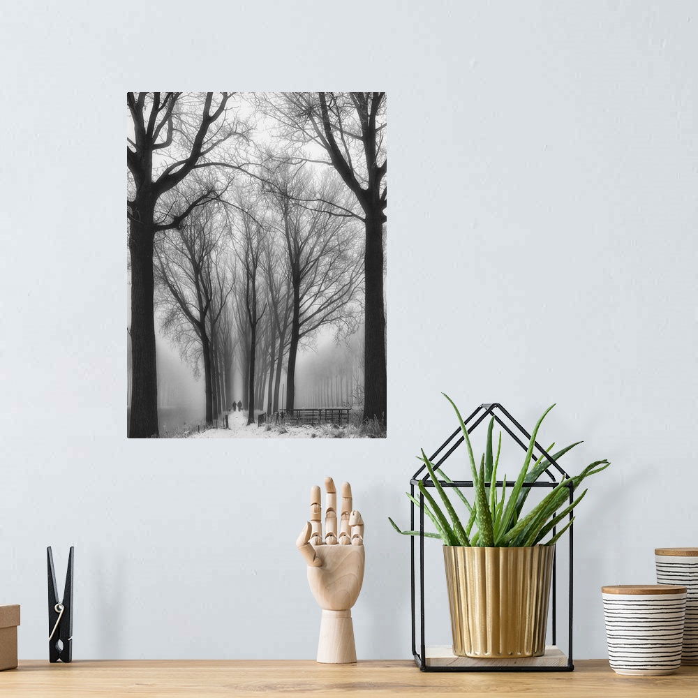 A bohemian room featuring Winter landscape of tall bare trees lining a path into the foggy distance.