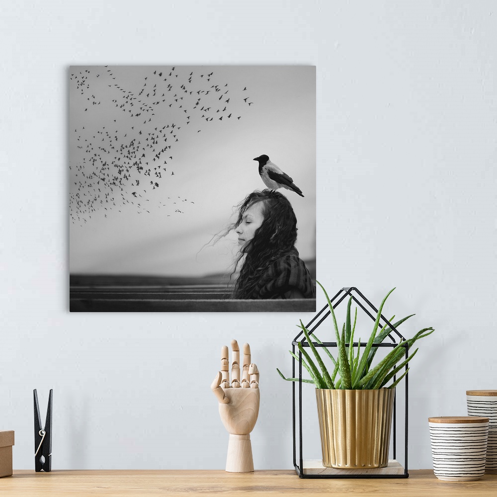 A bohemian room featuring Black and white portrait of a woman with a magpie standing on her head, looking at a flock of bir...