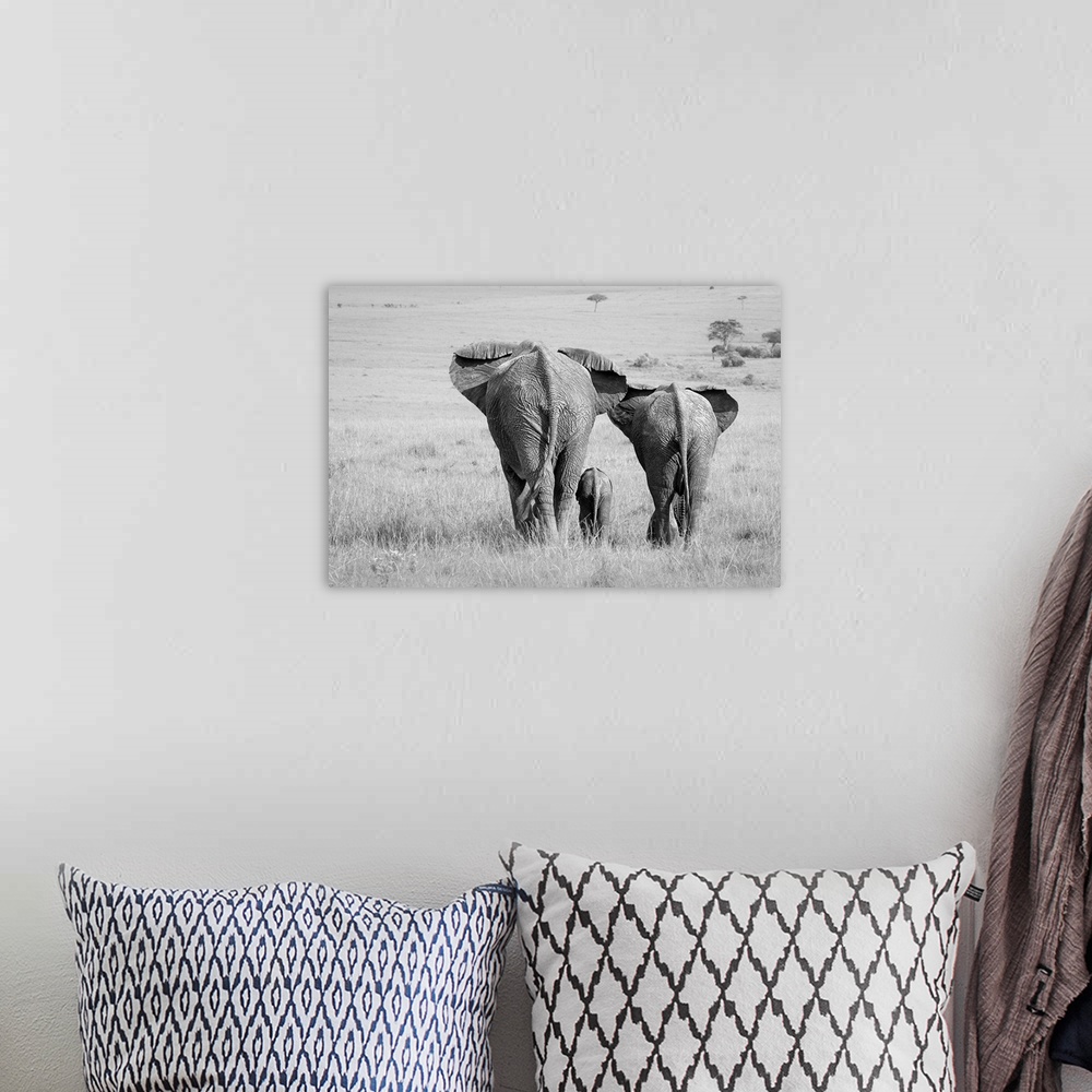 A bohemian room featuring A black and white photograph of an elephant family seen from behind.