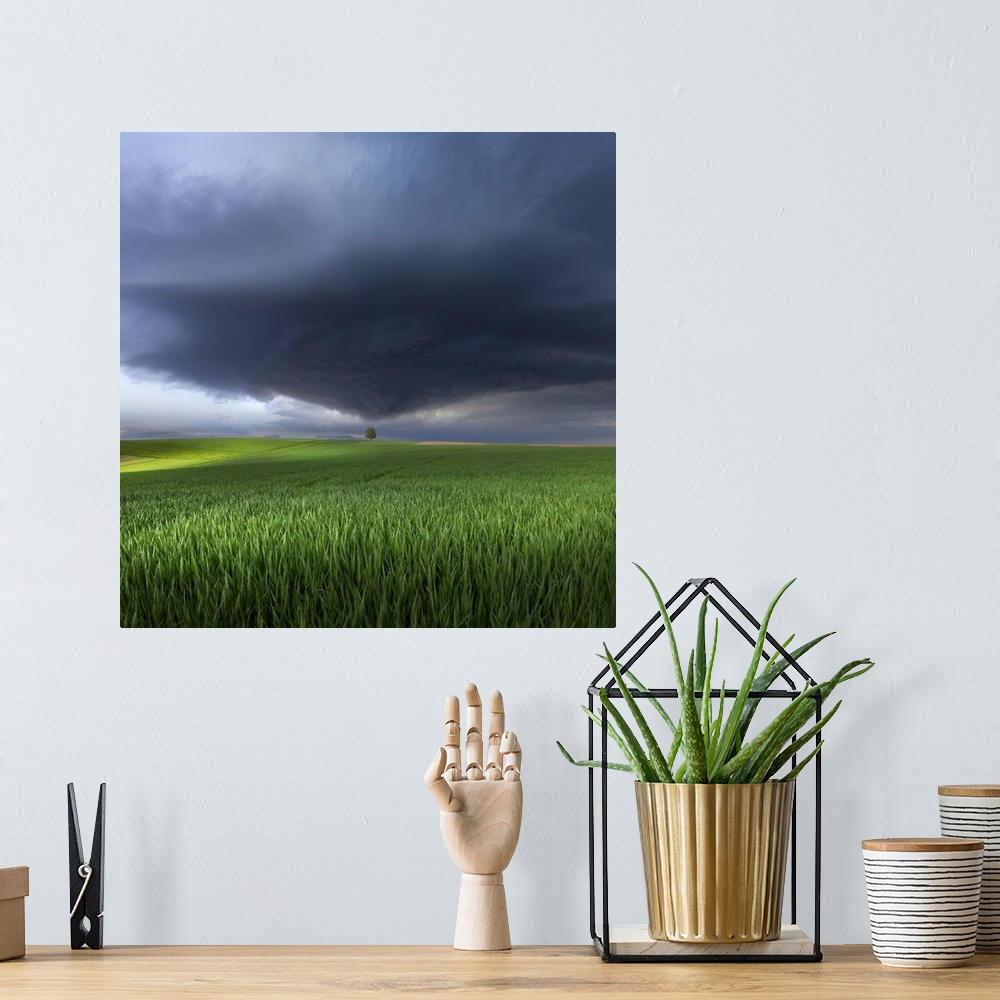 A bohemian room featuring A dark storm cloud heading towards a tree in a green field in Germany.