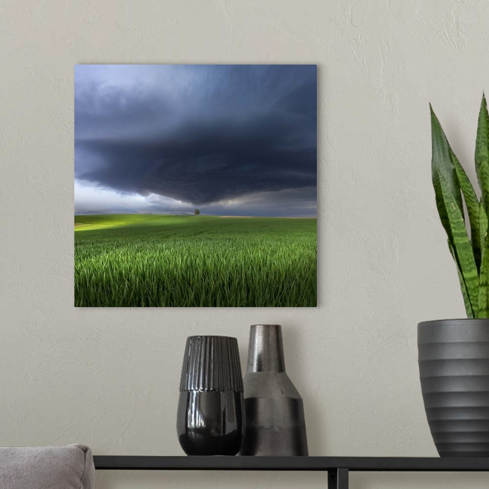 A modern room featuring A dark storm cloud heading towards a tree in a green field in Germany.
