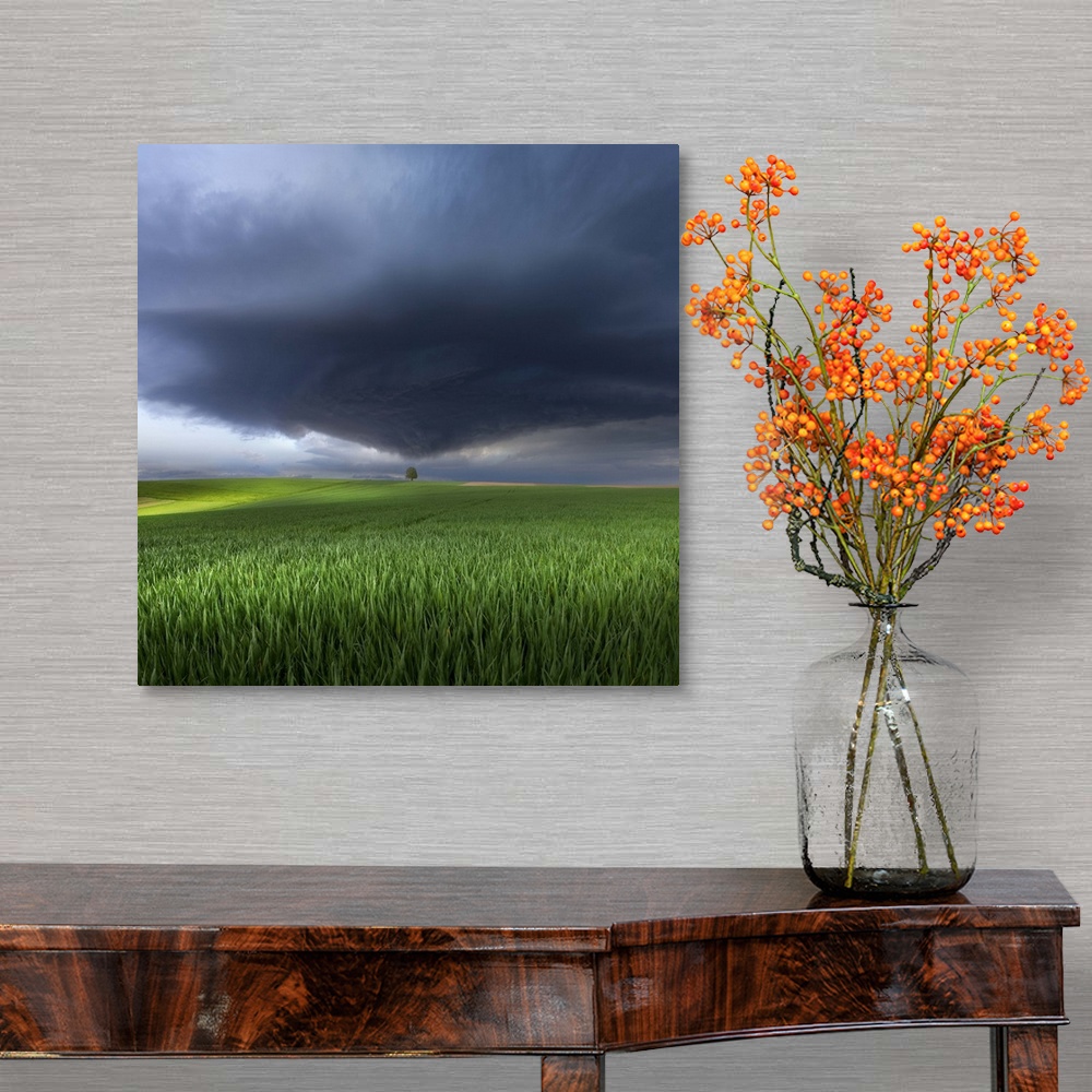 A traditional room featuring A dark storm cloud heading towards a tree in a green field in Germany.
