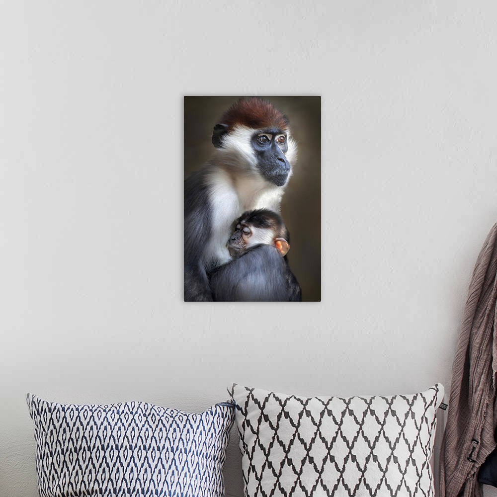 A bohemian room featuring Young monkey clings to its mother in a warm embracing hug.