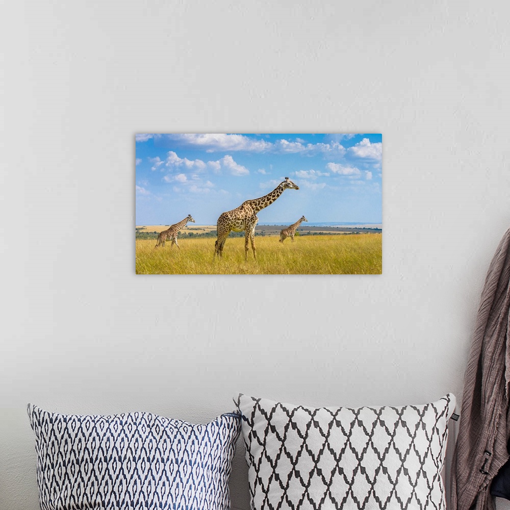 A bohemian room featuring Trio Giraffes