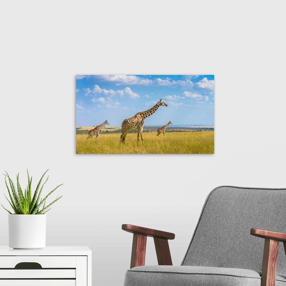 A modern room featuring Trio Giraffes